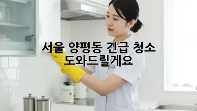 서울 양평동 긴급 청소, 도와드릴게요!